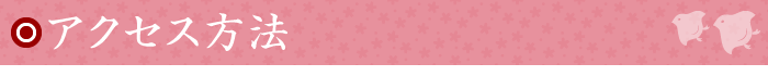 アクセス方法