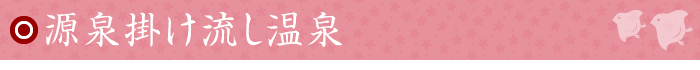 源泉掛け流し温泉